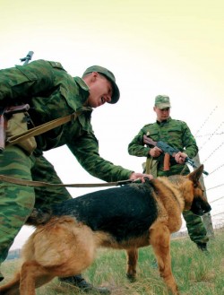 Добро пожаловать!