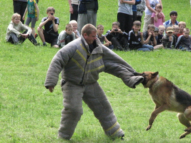 http://pics.livejournal.com/den_axa/pic/0000qz7c/s640x480
